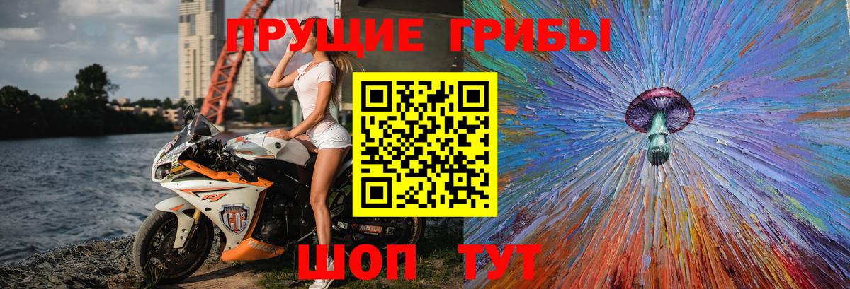 Галлюциногенные грибы Magic Shrooms Карасук
