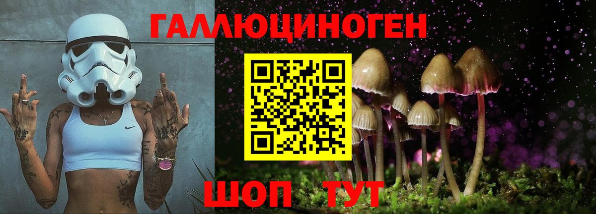 Псилоцибиновые грибы MAGIC MUSHROOMS  Вход с VPN  Галлюциногенные грибы ЛСД  Карасук 